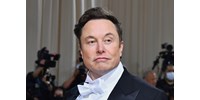  Lebunkózta az OpenAI vezére Elon Muskot, aki sértődésből hagyta ott a céget  