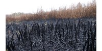  Kiégett tómedrek, üres víztározók is jelzik az Alföld elsivatagosodását  