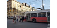 Szülést levezető buszsofőr, elveszett gyerek és a kóbor cica - öt hihetetlen sztorit szedett össze a BKK