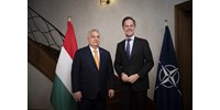  Orbán a NATO-főtitkárral tárgyalt arról, hogy Trump „máris a feje tetejére állította a világot”  