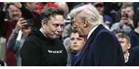  Eltűnt Elon Musk posztja, amelyben azt sugallta, Trumpnak köze van az Epstein-aktákhoz  