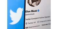 Árháborúba kezdhet Elon Musk, most az járhat rosszul, aki iPhone-ról fizetne a Twitterért  