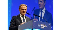  Donald Tusk lett a legfőbb lengyel ellenzéki párt vezetője  