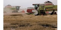  Véget ért a nyári aratás, búzából jól állunk, repcéből gyenge a termés  