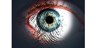  Az Interpol biometrikus azonosításra alkalmas új programot hozott létre  