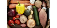 Nyugdíjasoknak szóló kedvezményt vezet be a Lidl, pár termék olcsóbb lesz az idős vásárlóknak