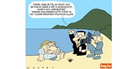 Marabu Féknyúz: Háborúpárti sün