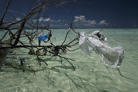 Zhvg: ¿Una playa sin plástico?  Te mostraremos si eso es posible