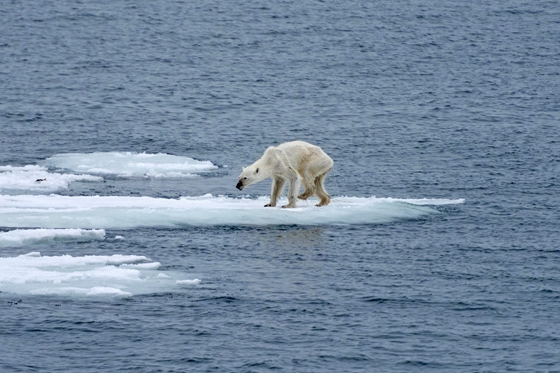 Tecnología: termine el debate ahora, el 99,9% de los científicos dice que el hombre causó el cambio climático