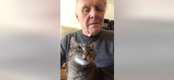 Meghalt Anthony Hopkins Magyarországról mentett macskája