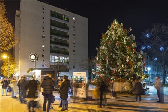 Zalaegerszeg belvárosában is áll már a karácsonyfa – fotók