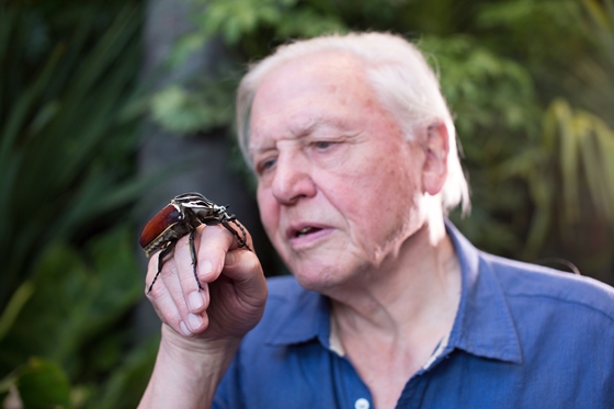 Tecnología: querrás jugar Spectrum: 110 horas de increíble película sobre la naturaleza para el 95 cumpleaños de David Attenborough