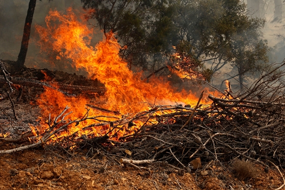 Spanyolországban napok óta küzdenek a lángokkal – képek