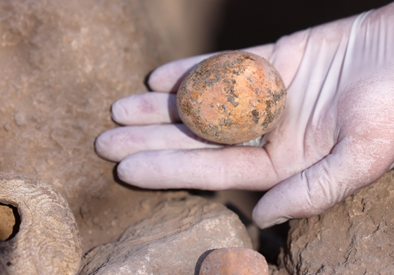 Tecnología: se encontró un huevo de gallina milenario y todavía es amarillo