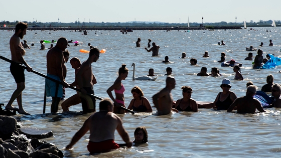 Fürdőzési tilalmat rendeltek el a Velencei-tó egyik strandjánál